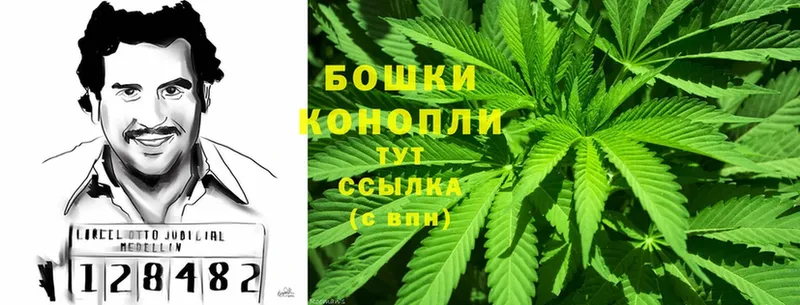 Бошки марихуана White Widow  Вышний Волочёк 